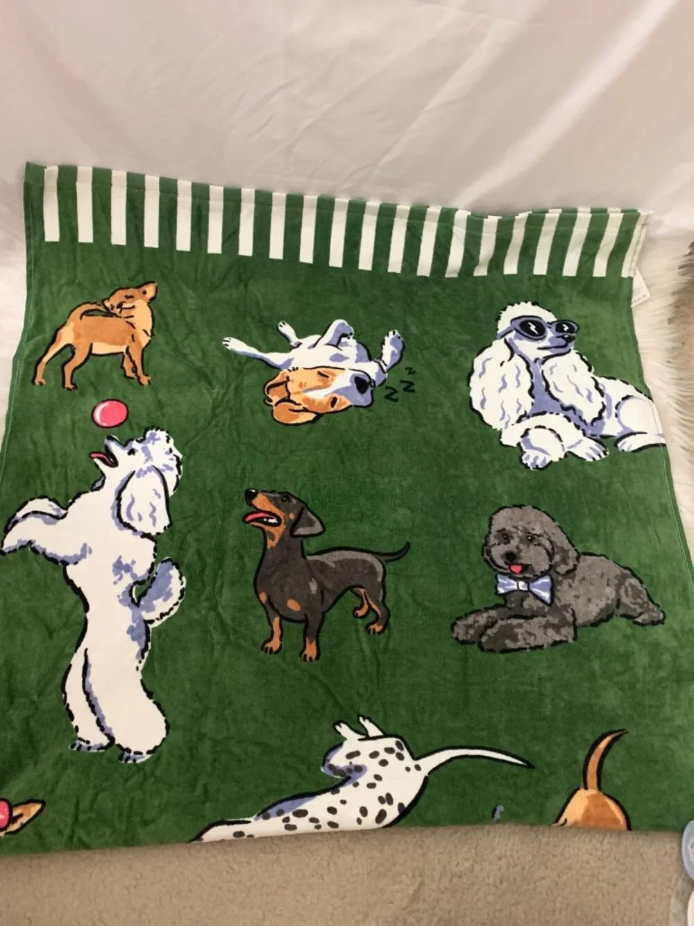VERA BRADLEY Dog Park Essential Beach Towel in Green/White